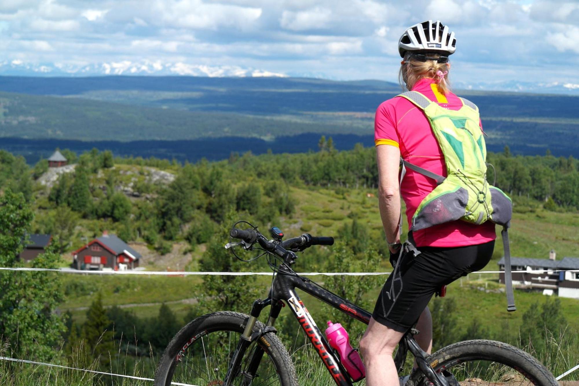 Oset Fjellhotell Gol Exterior foto