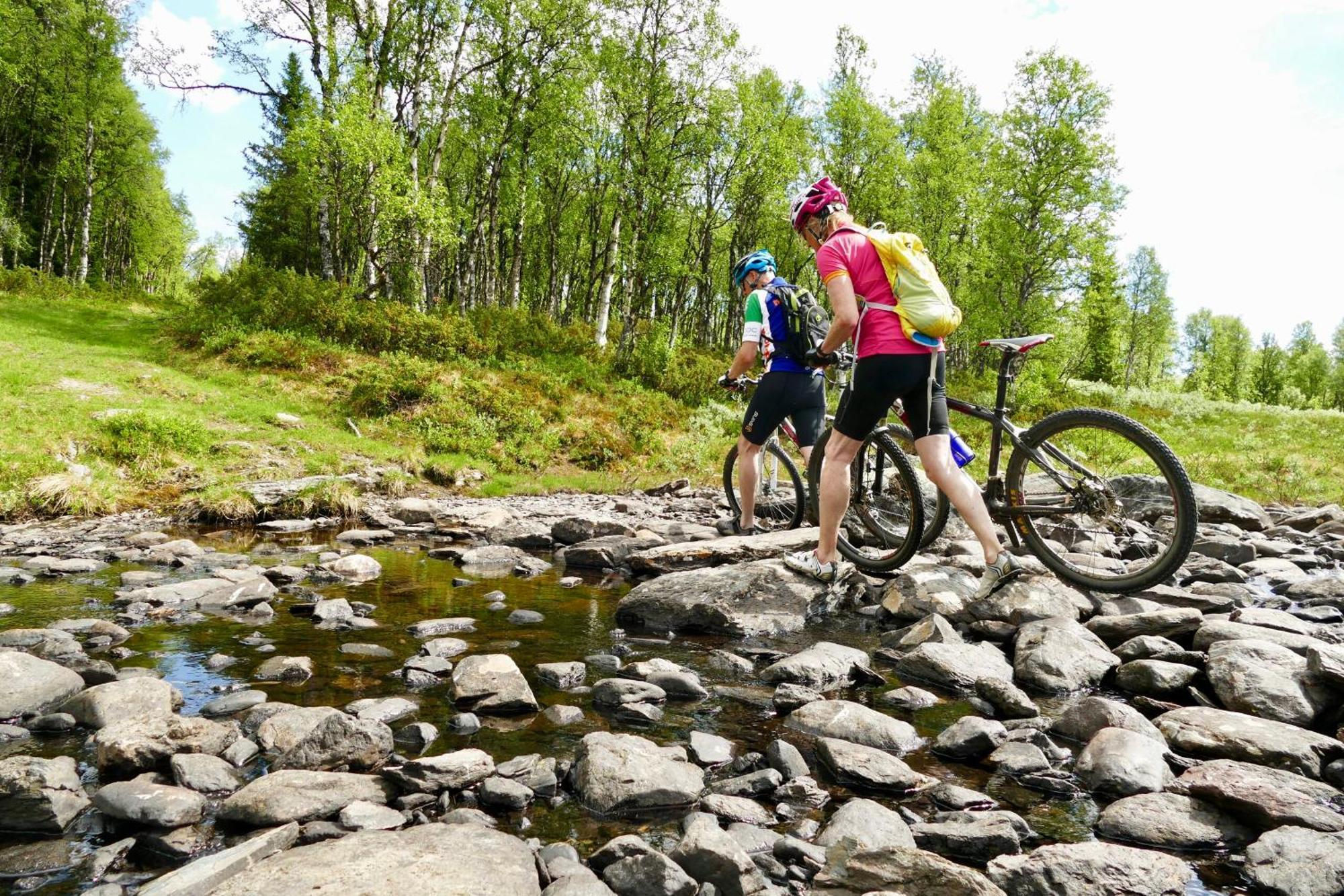 Oset Fjellhotell Gol Exterior foto